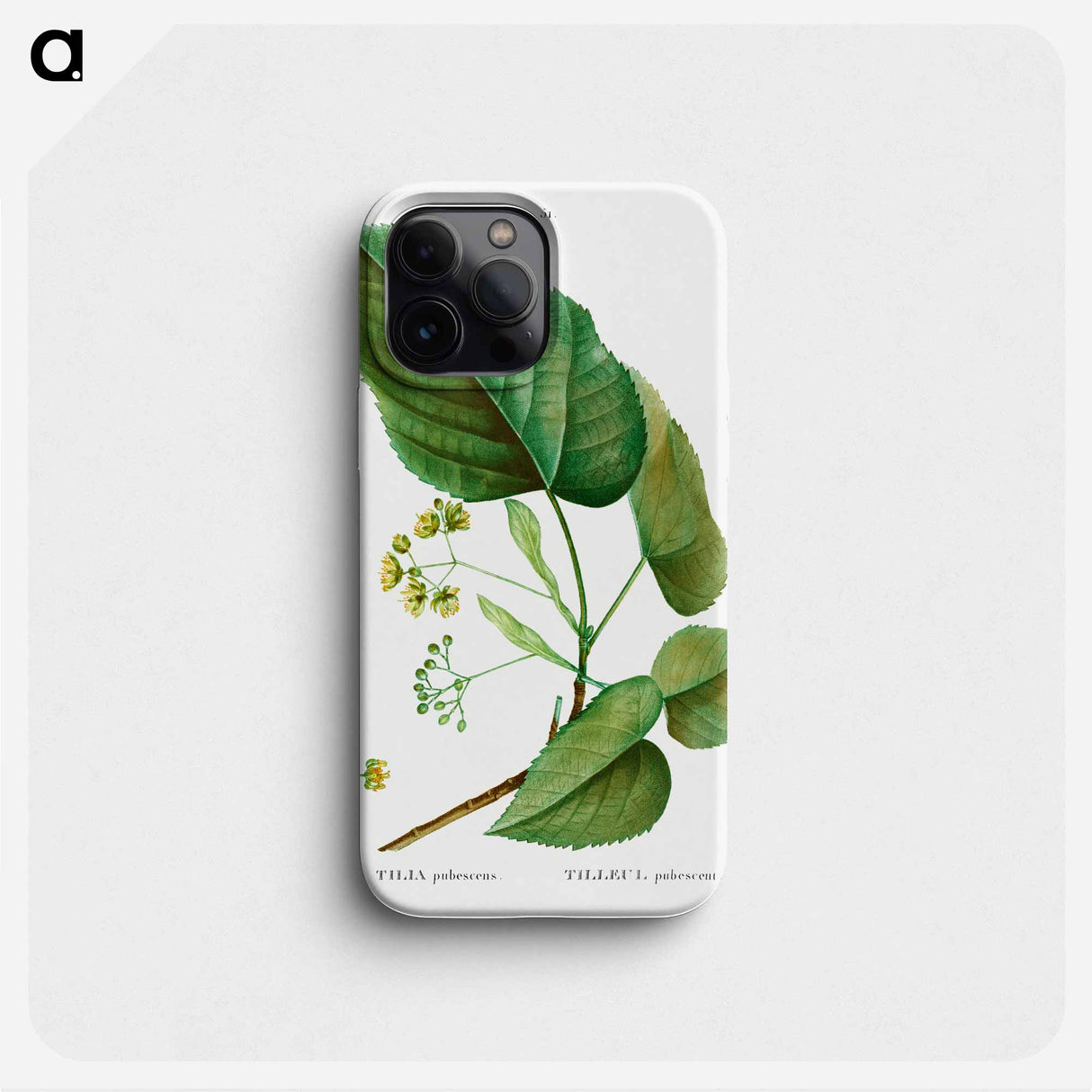 Tilia pubescens - Pierre Joseph Redouté Phone Case.