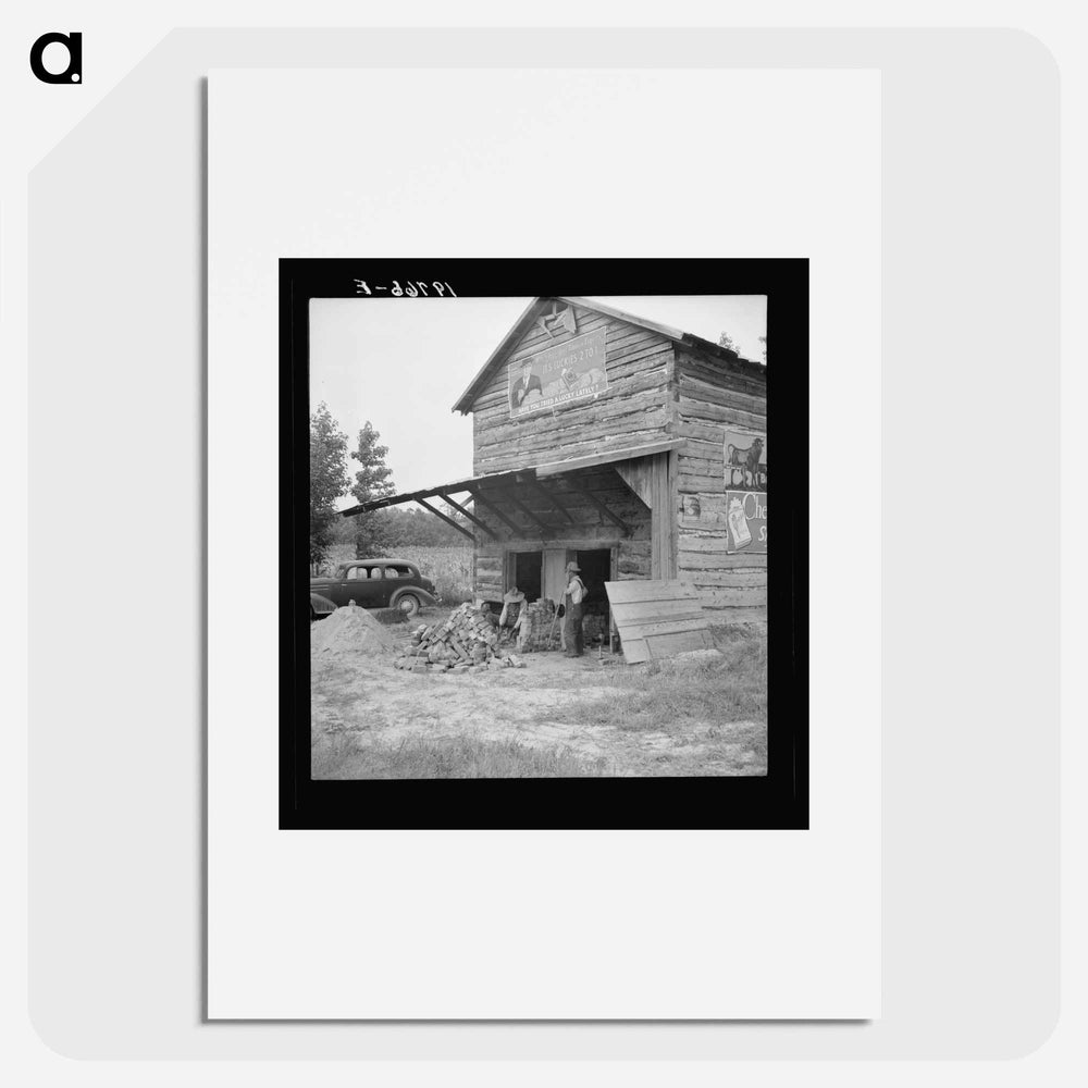 Untitled photo - Dorothea Lange Poster.