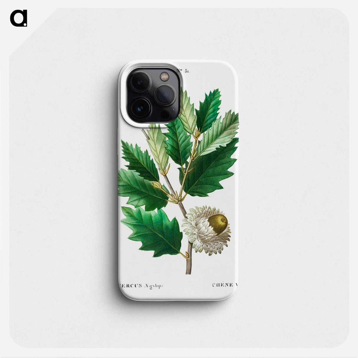 Valonian Oak - Pierre Joseph Redouté Phone Case.