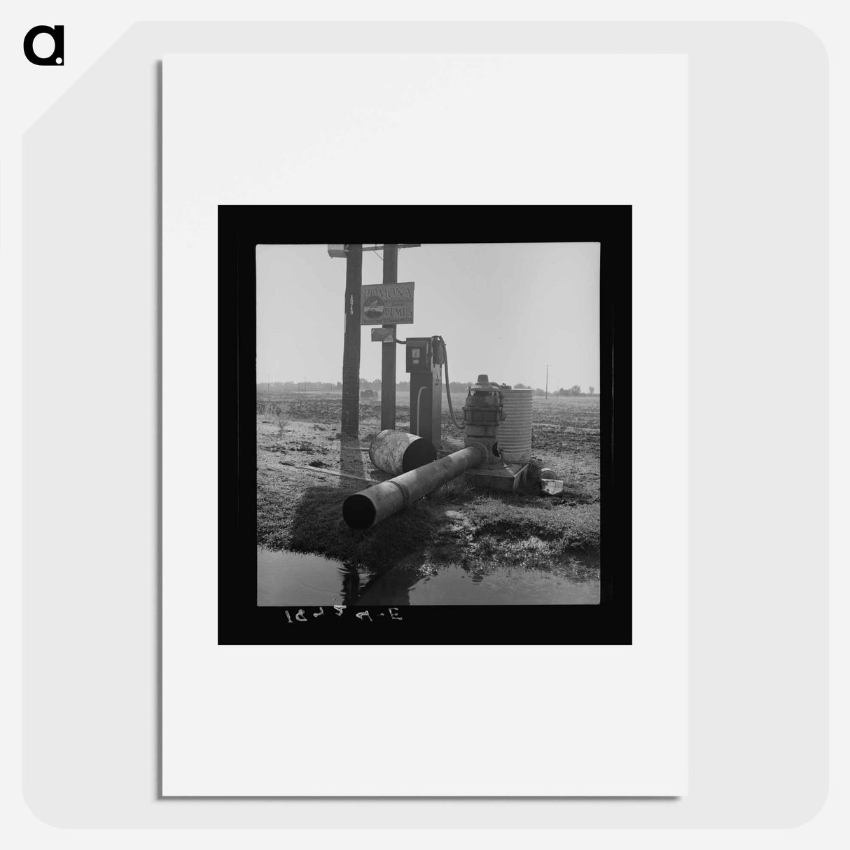 Untitled photo - Dorothea Lange Poster.