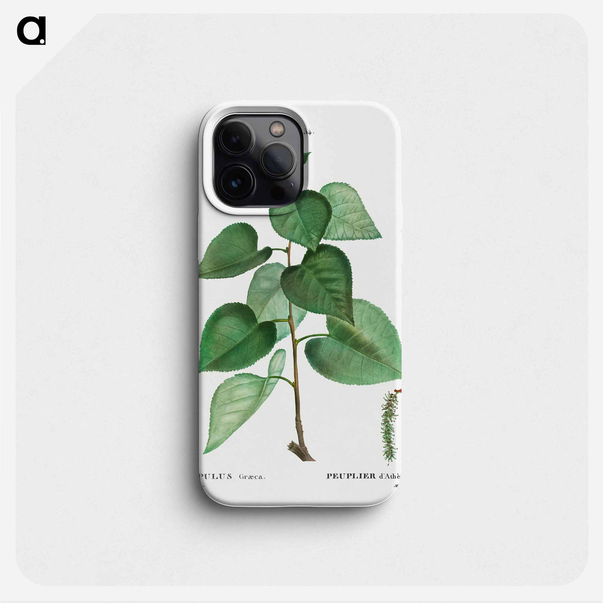 Populus graeca - Pierre Joseph Redouté Phone Case.