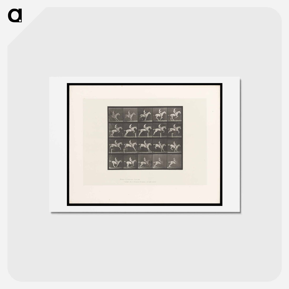 アートポストカード-Horse Jumping a Hurdle
- エドワード マイブリッジ Postcard.