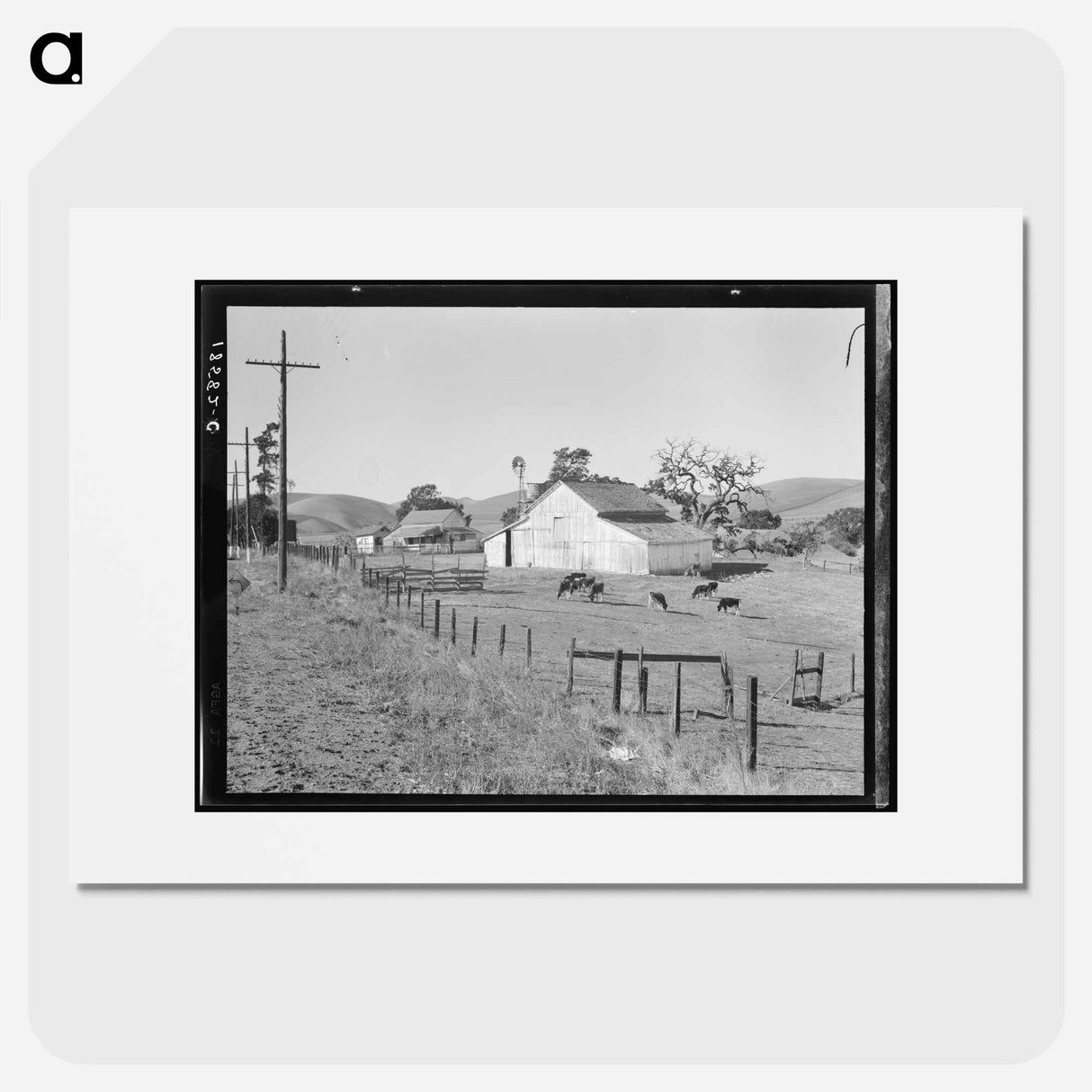 Untitled photo - Dorothea Lange Poster.
