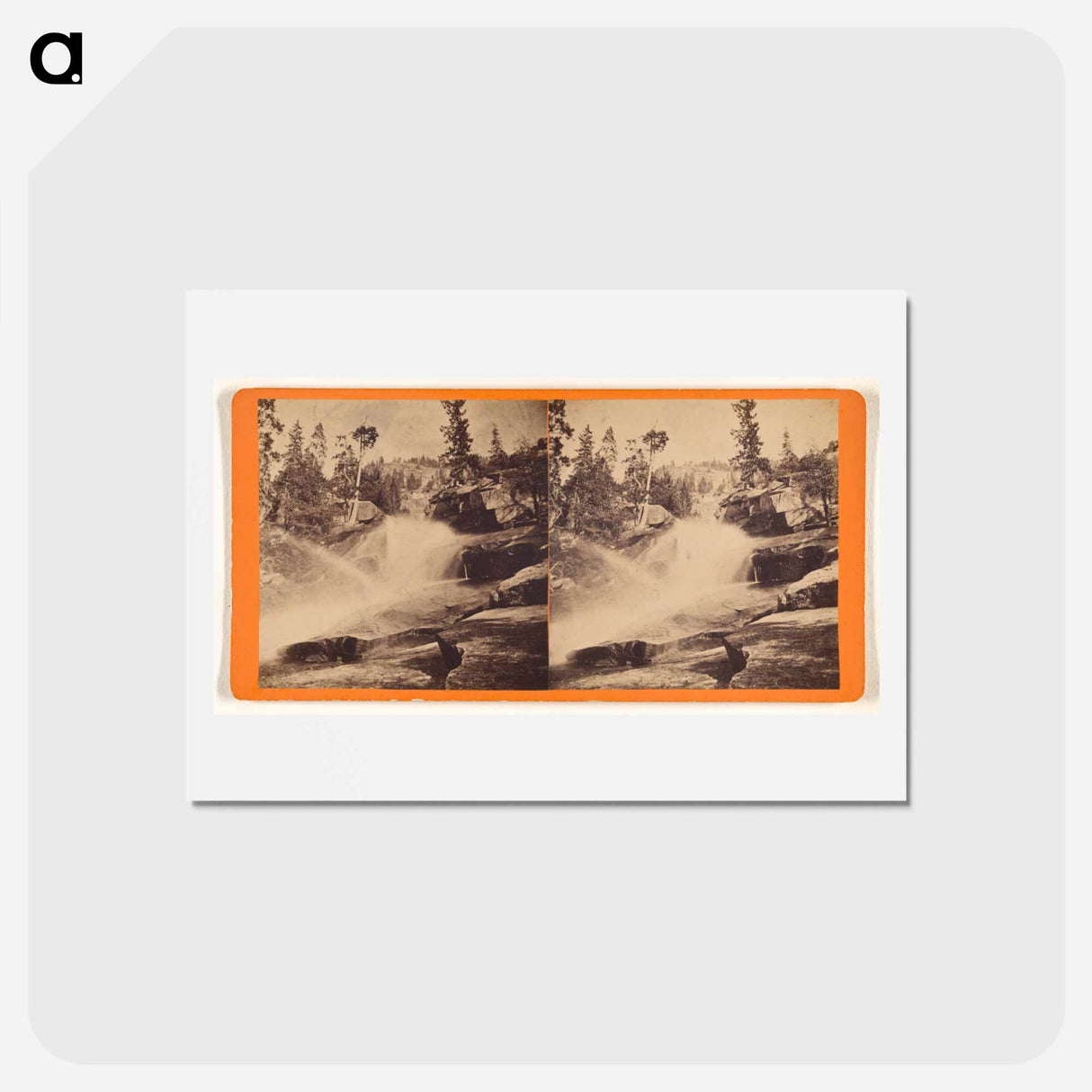 アートポストカード-Wild Cat
- エドワード マイブリッジ Postcard.