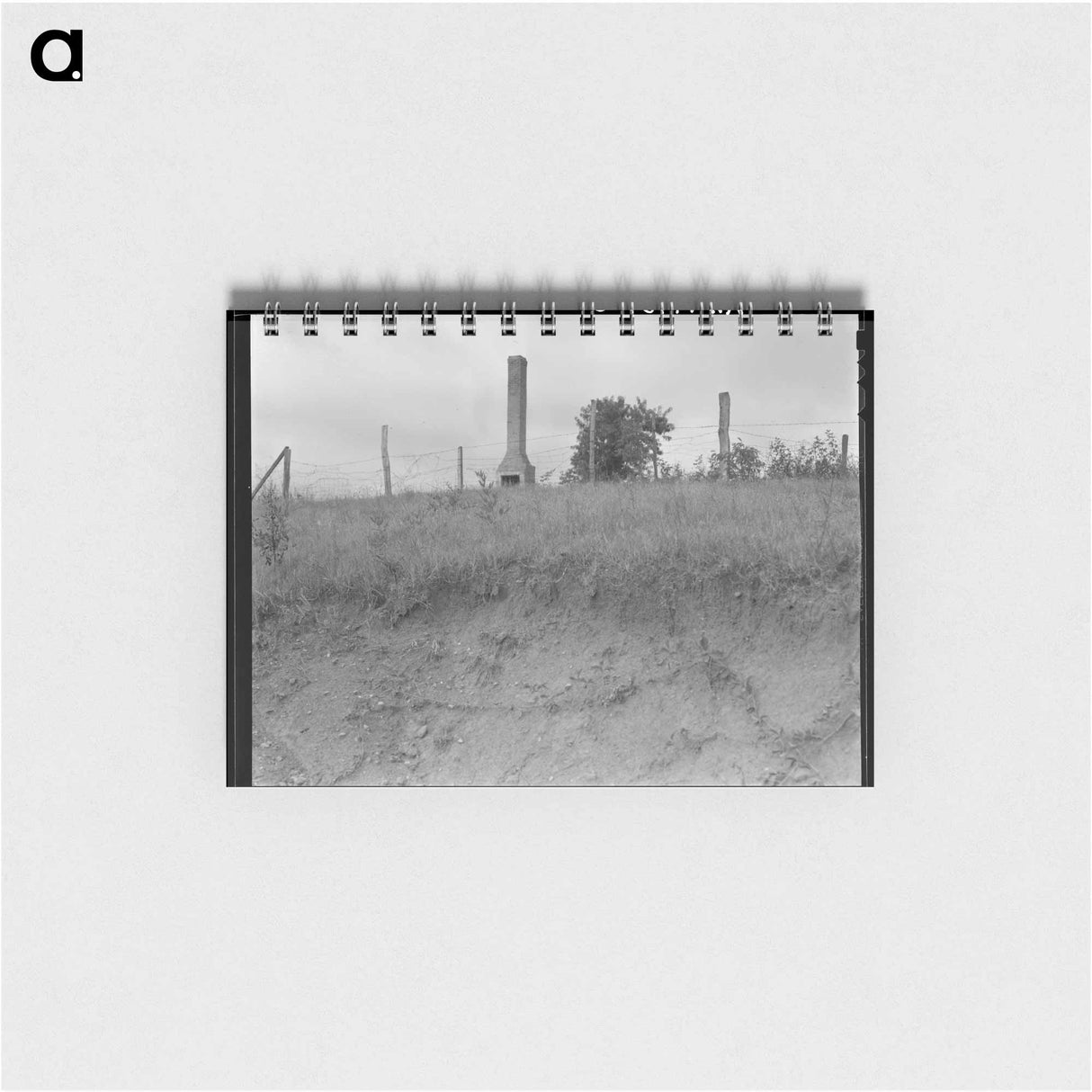 Standing Chimneys - ドロテア ラング Memo.