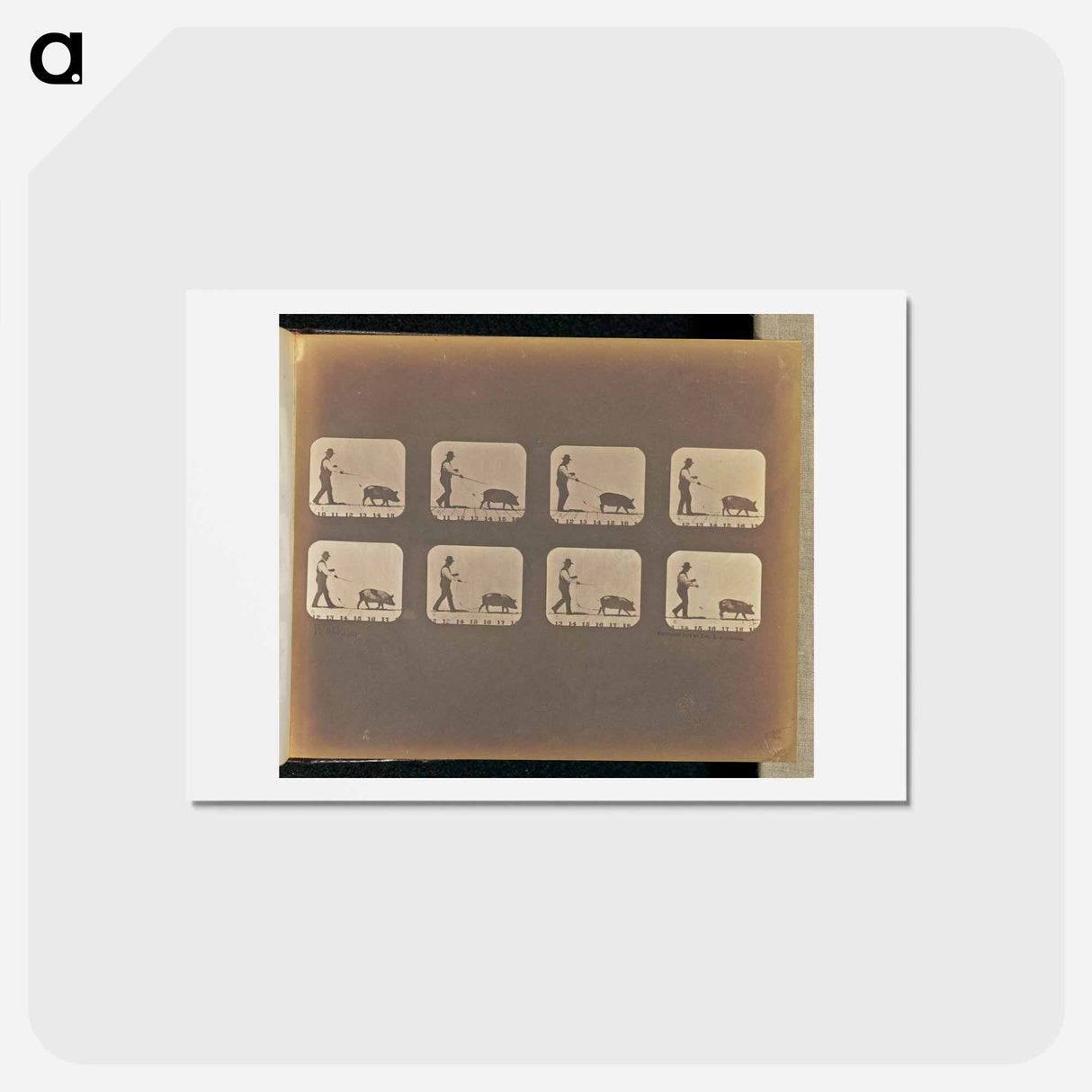 アートポストカード-Walking
- エドワード マイブリッジ Postcard.