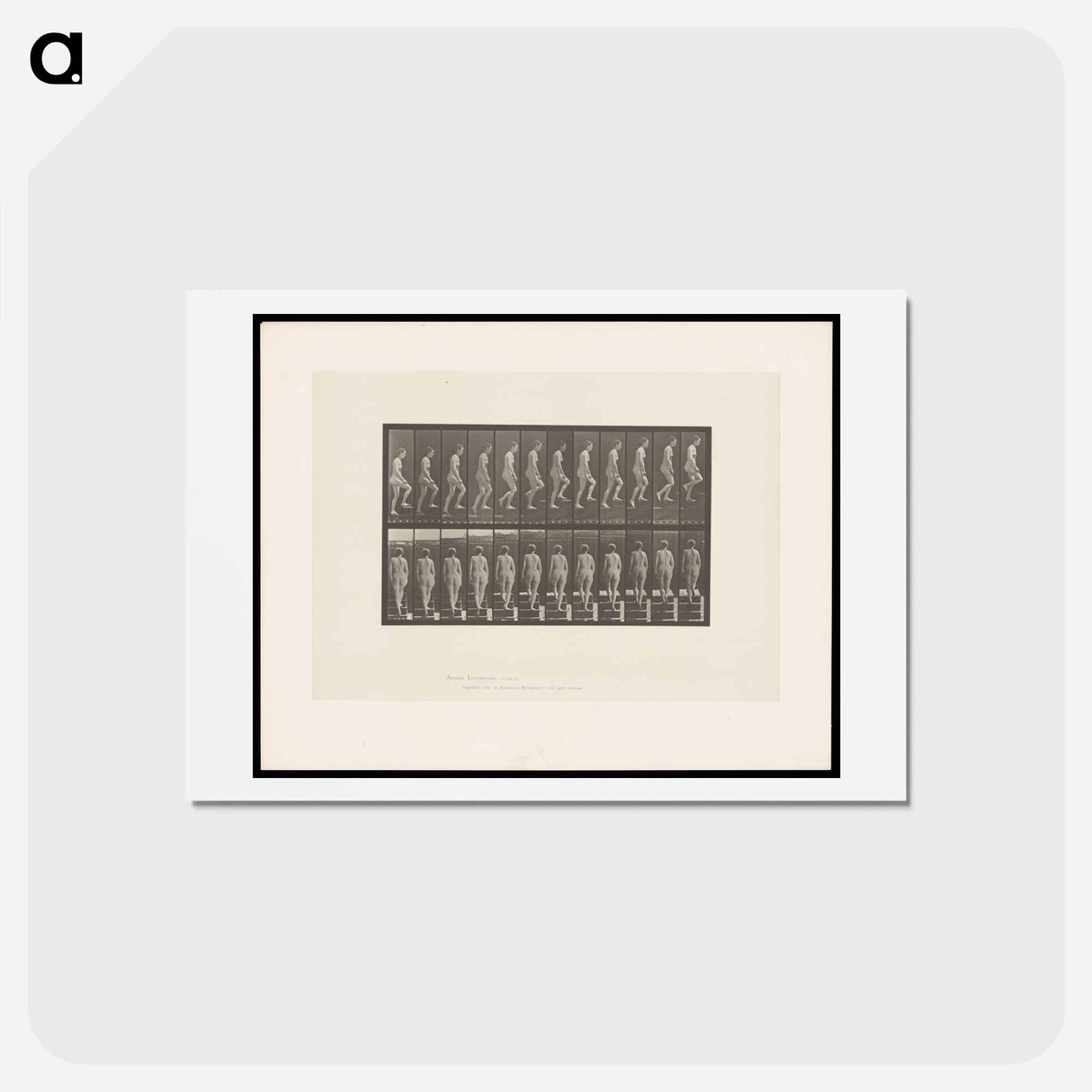 アートポストカード-Nude Descending a Staircase
- エドワード マイブリッジ Postcard.