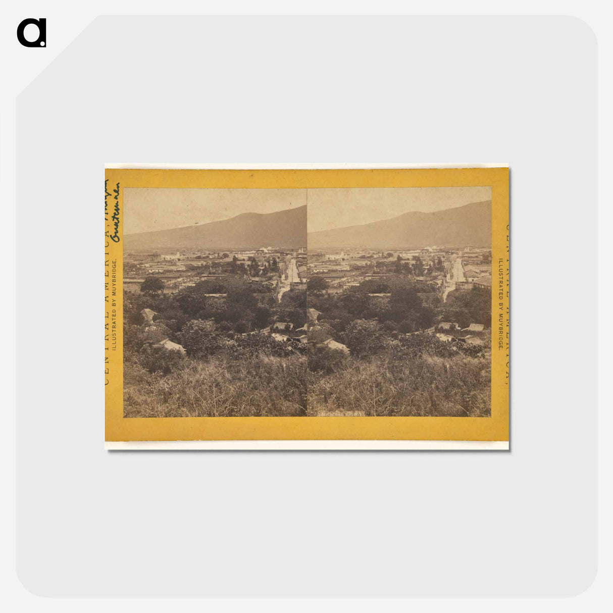 アートポストカード-Antigua
- エドワード マイブリッジ Postcard.