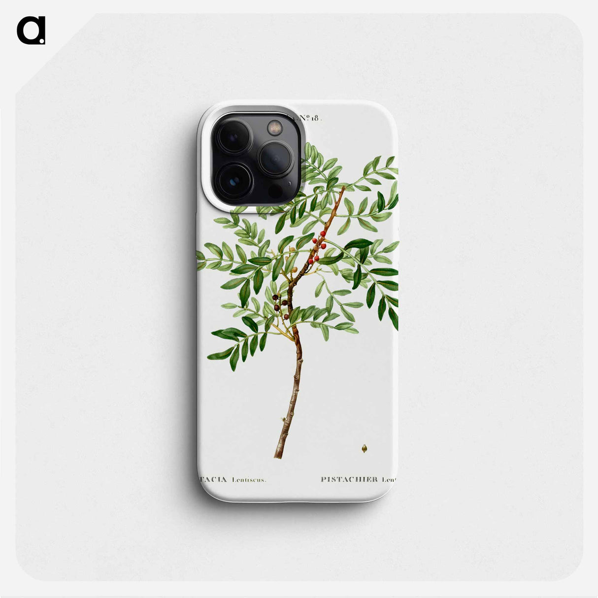 Lentisk, Pistacia lentiscus - Pierre Joseph Redouté Phone Case.
