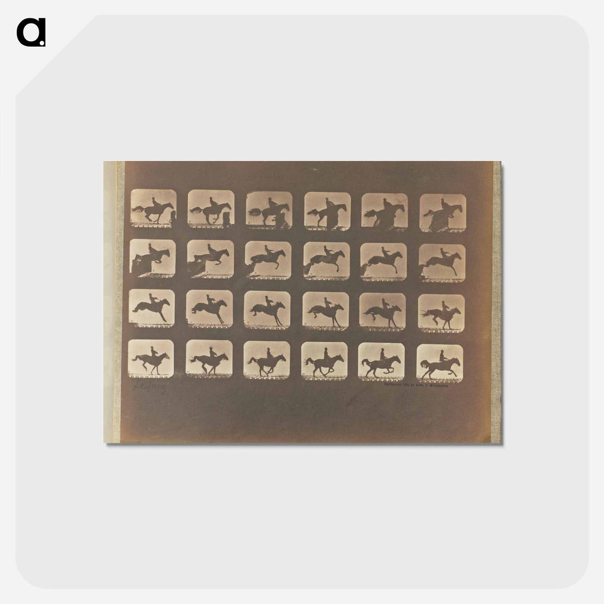 アートポストカード-Leaping
- エドワード マイブリッジ Postcard.