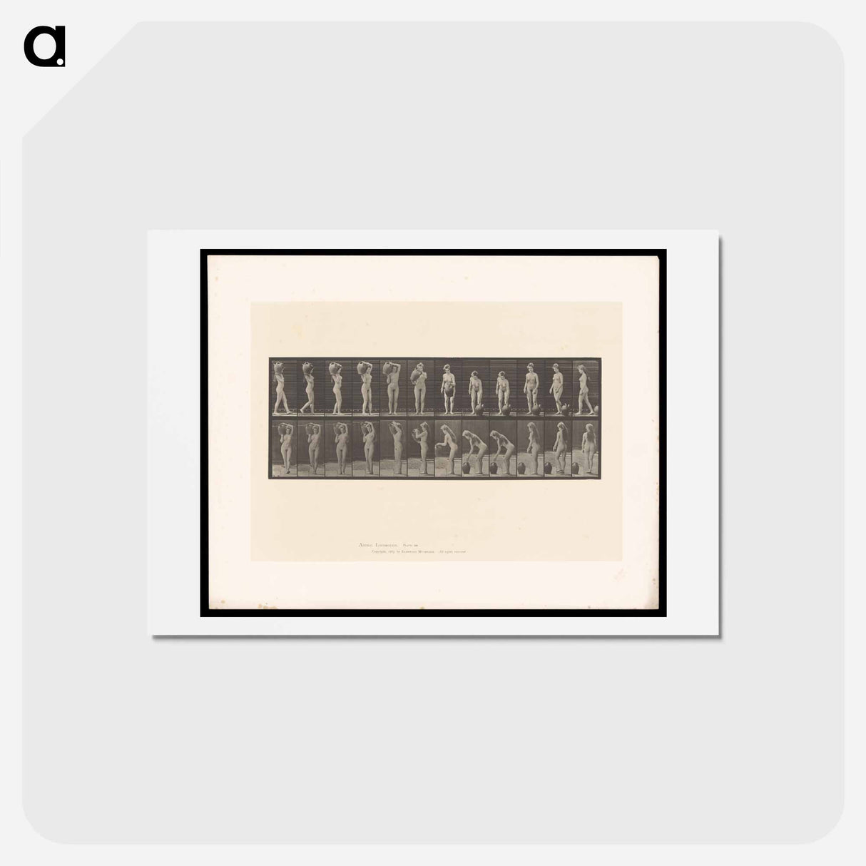 アートポストカード-Woman with Barrel
- エドワード マイブリッジ Postcard.