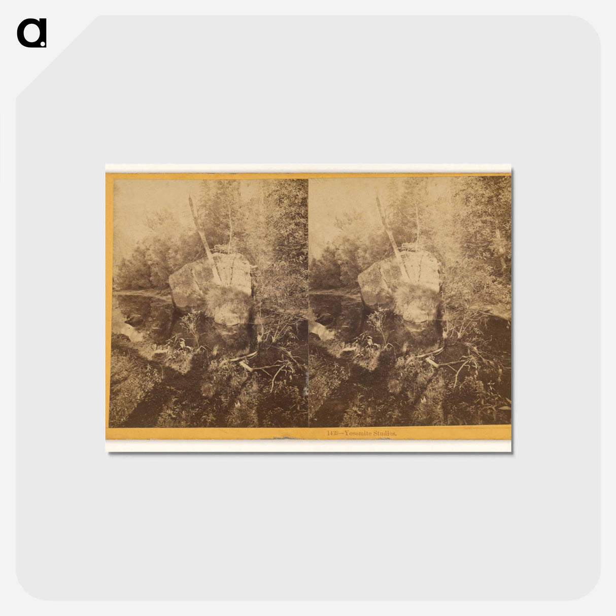 アートポストカード-Yosemite Studies
- エドワード マイブリッジ Postcard.