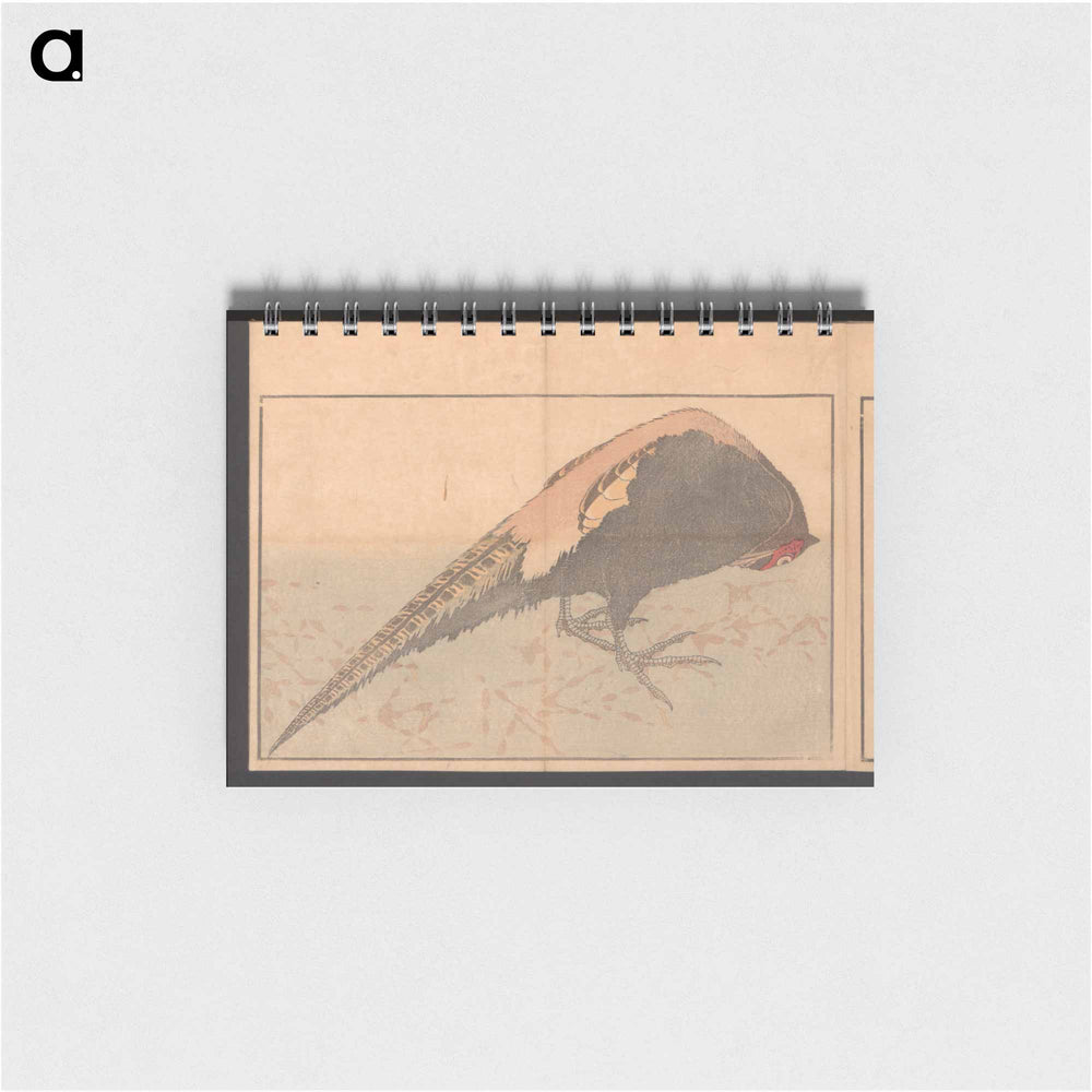The Illustrated Book of Glories of China and Japan - 葛飾 北斎 Memo.