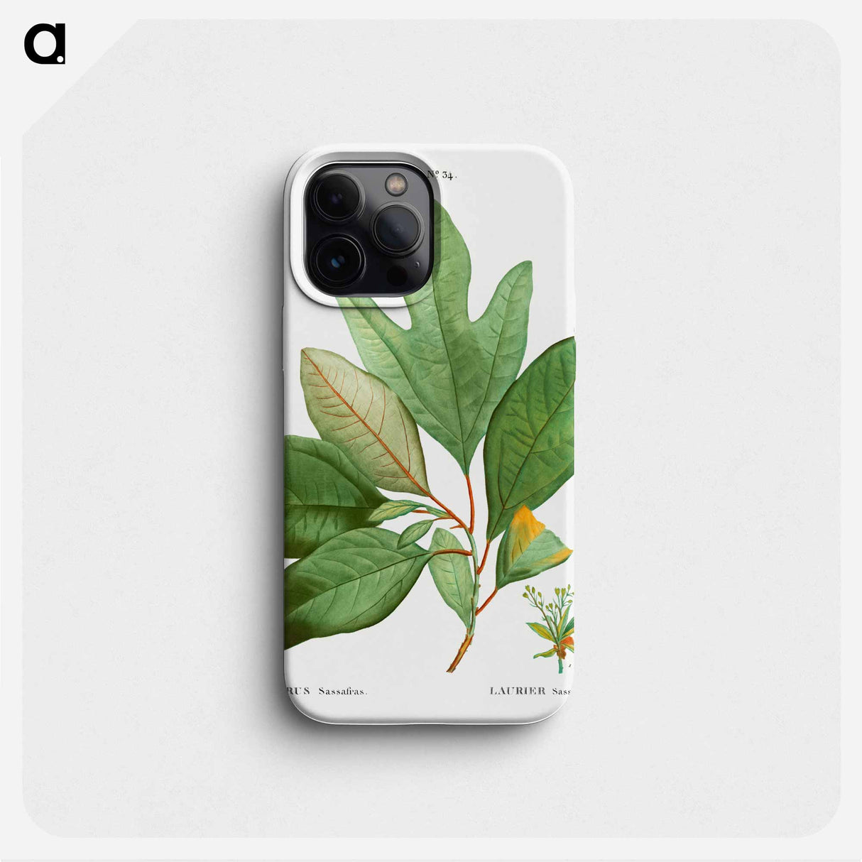 Laurels - Pierre Joseph Redouté Phone Case.