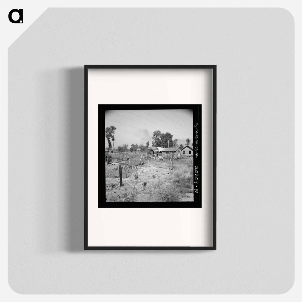 Untitled - Dorothea Lange Poster.