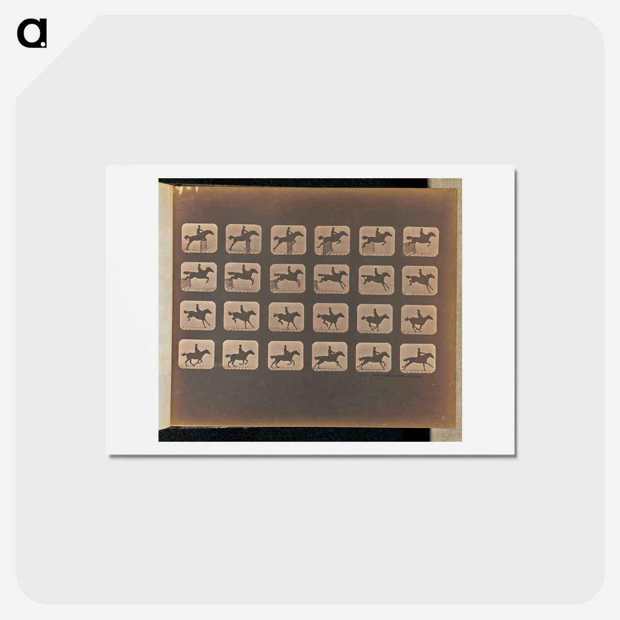 アートポストカード-Leaping
- エドワード マイブリッジ Postcard.