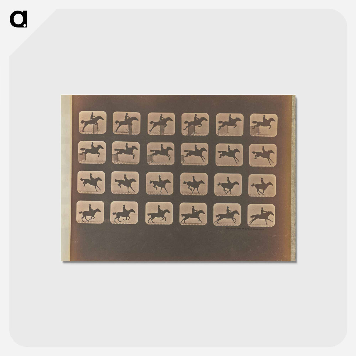 アートポストカード-Leaping
- エドワード マイブリッジ Postcard.