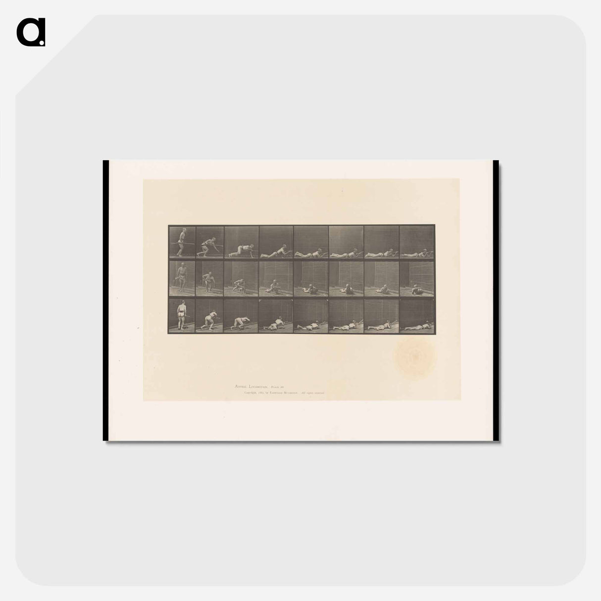アートポストカード-Marksman
- エドワード マイブリッジ Postcard.