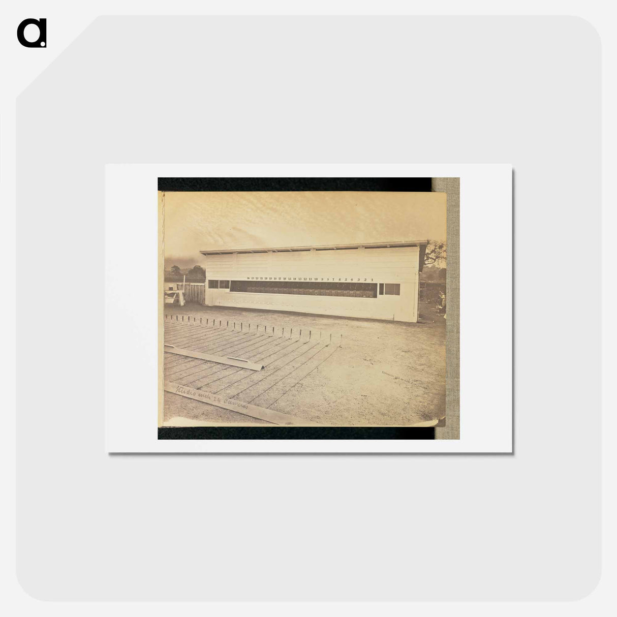 アートポストカード-Studio with 24 Cameras
- エドワード マイブリッジ Postcard.