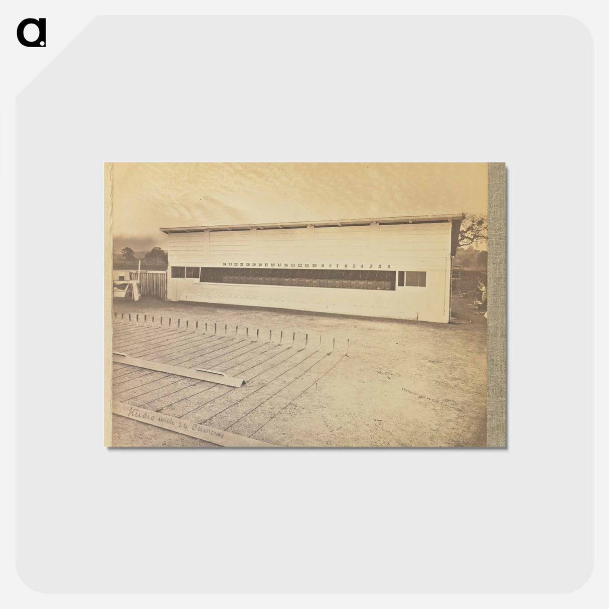 アートポストカード-Studio with 24 Cameras
- エドワード マイブリッジ Postcard.