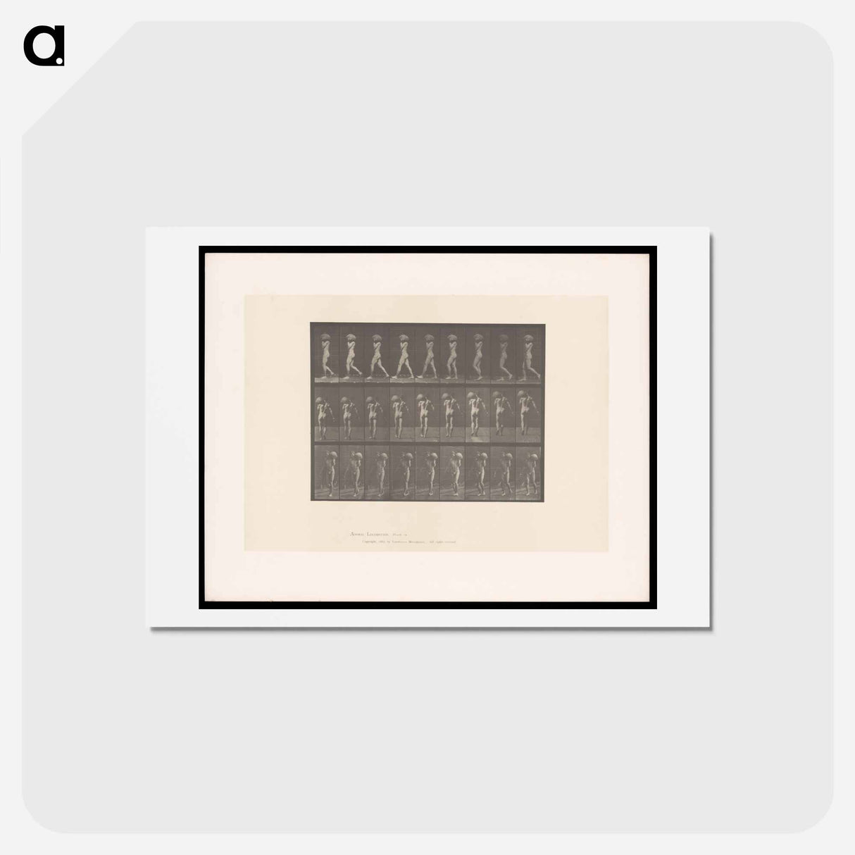 アートポストカード-Man with Rock
- エドワード マイブリッジ Postcard.