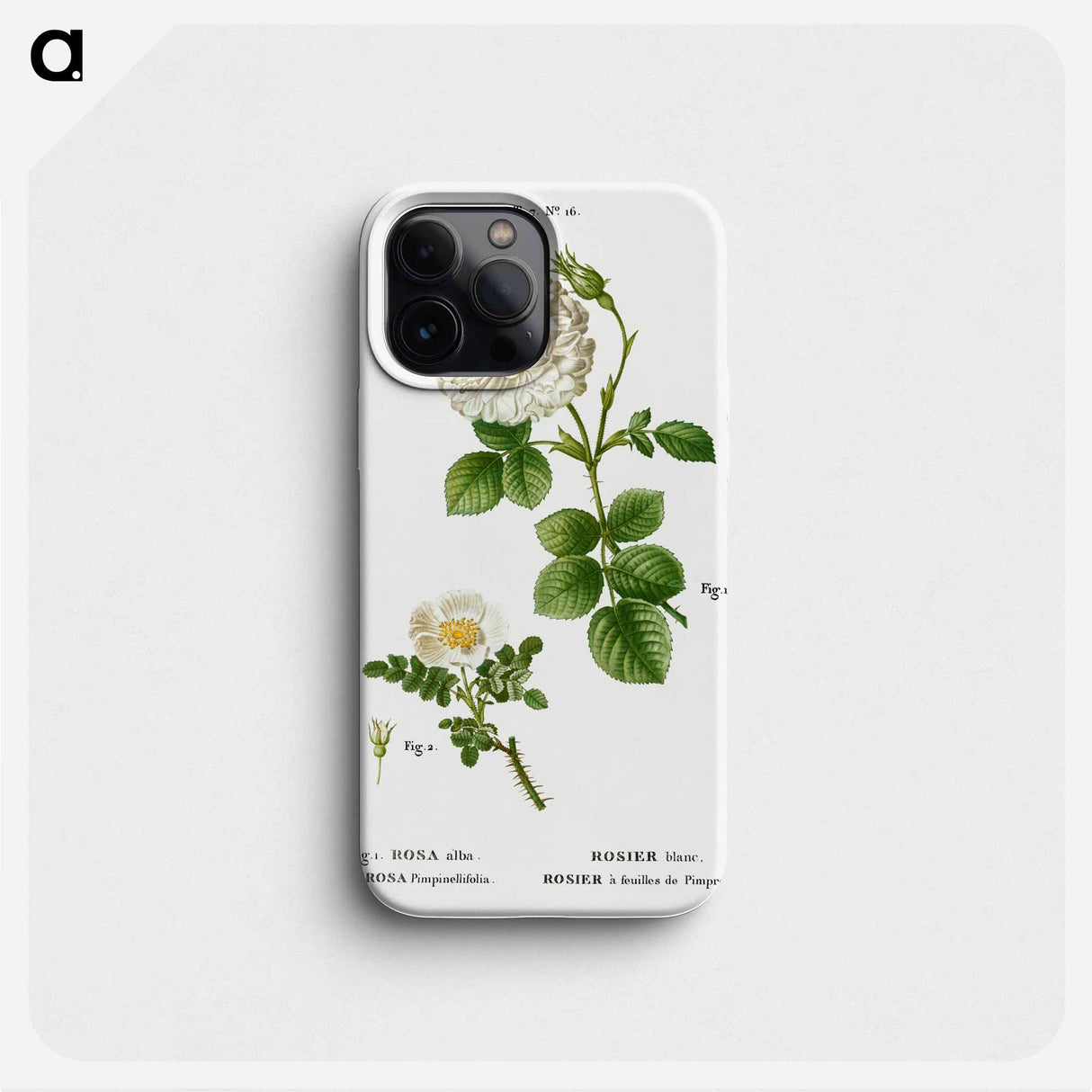 White rose of York, Rosa alba 2. Burnet rose, Rosa pimpinellifolia - Pierre Joseph Redouté Phone Case.
