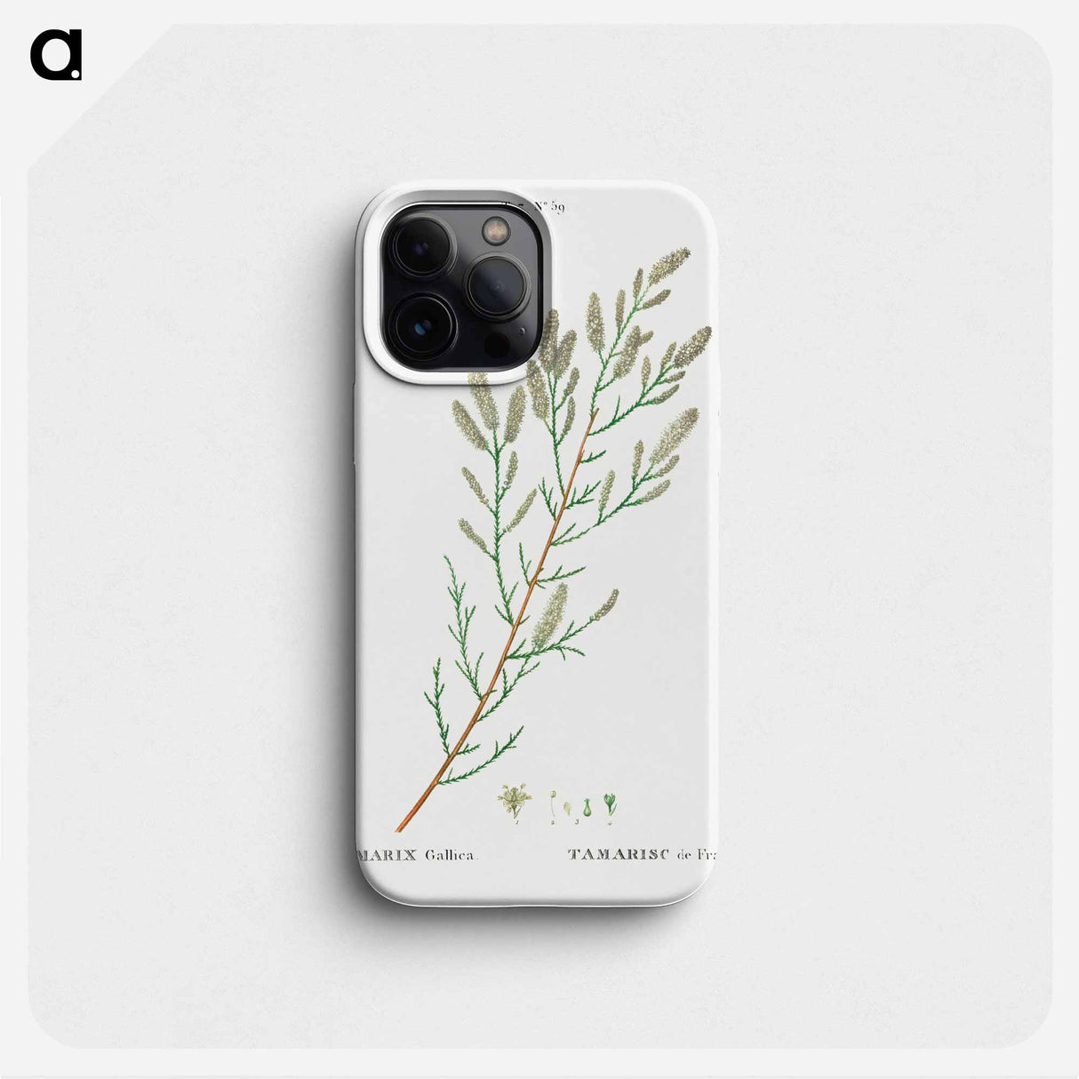 French tamarisk - ピエール ジョゼフ ルドゥーテ Phone Case.