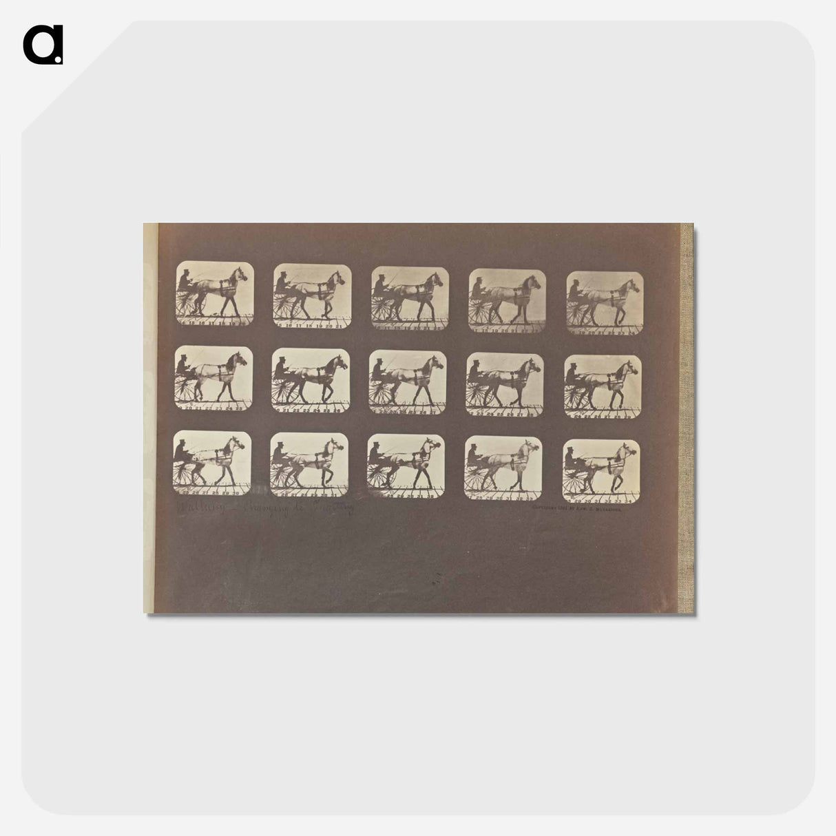 アートポストカード-Walking - Changing to Trotting
- エドワード マイブリッジ Postcard.