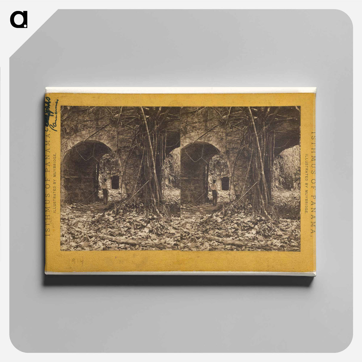 アートパネル-Chagres. Entrance to Fort.
- エドワード マイブリッジ Canvas.