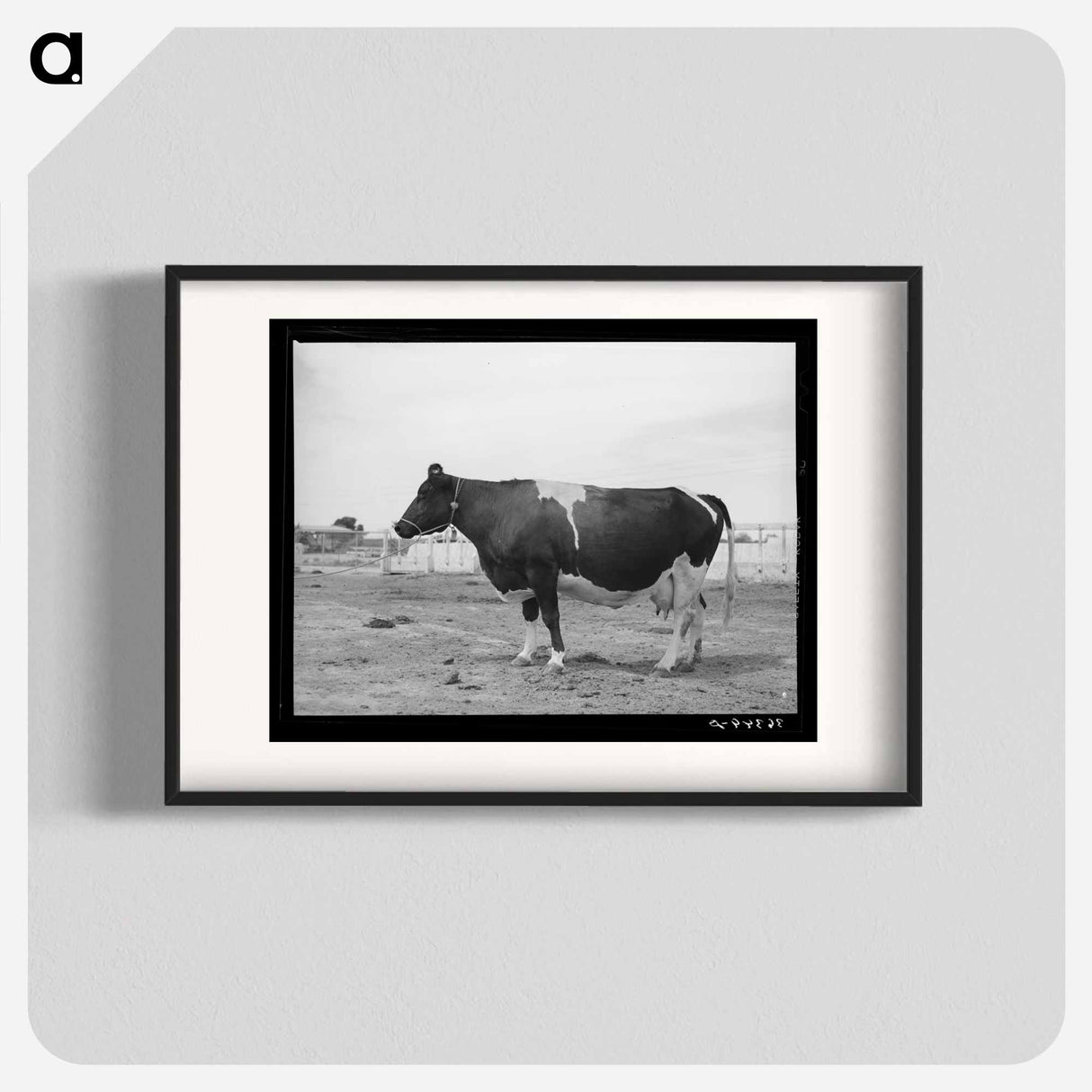 アートポスター-Casa Grande Holstein
- ラッセル リー Poster.
