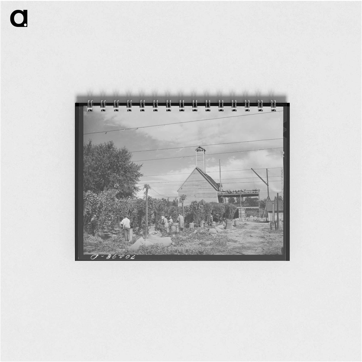 アートメモ帳-Casa Grande Holstein
- ラッセル リー Memo.
