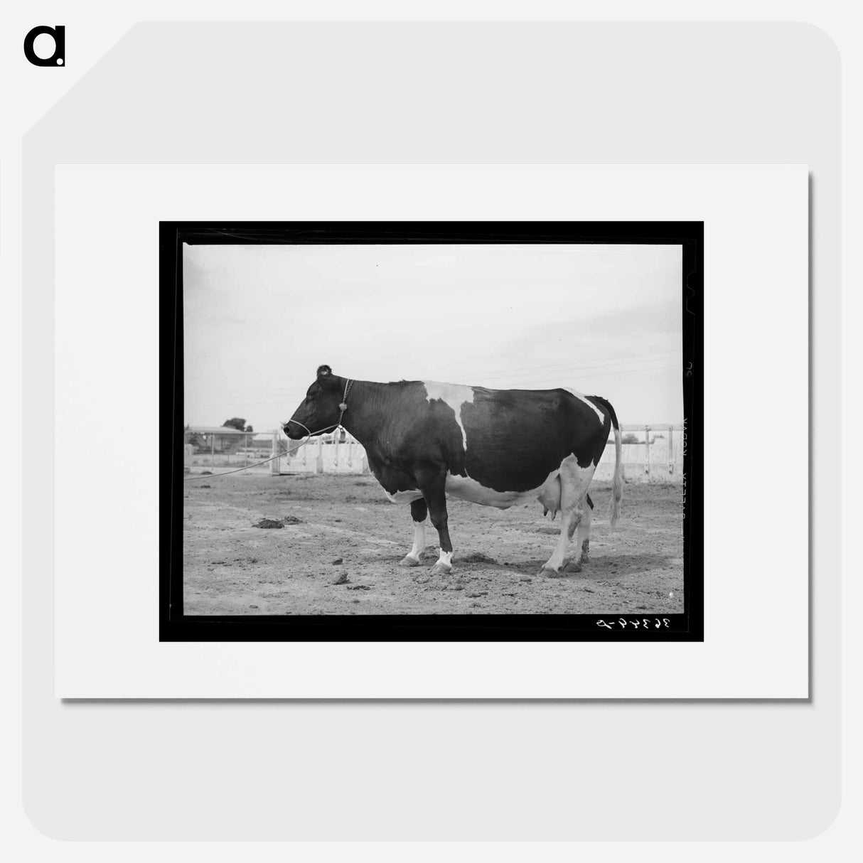 アートポスター-Casa Grande Holstein
- ラッセル リー Poster.