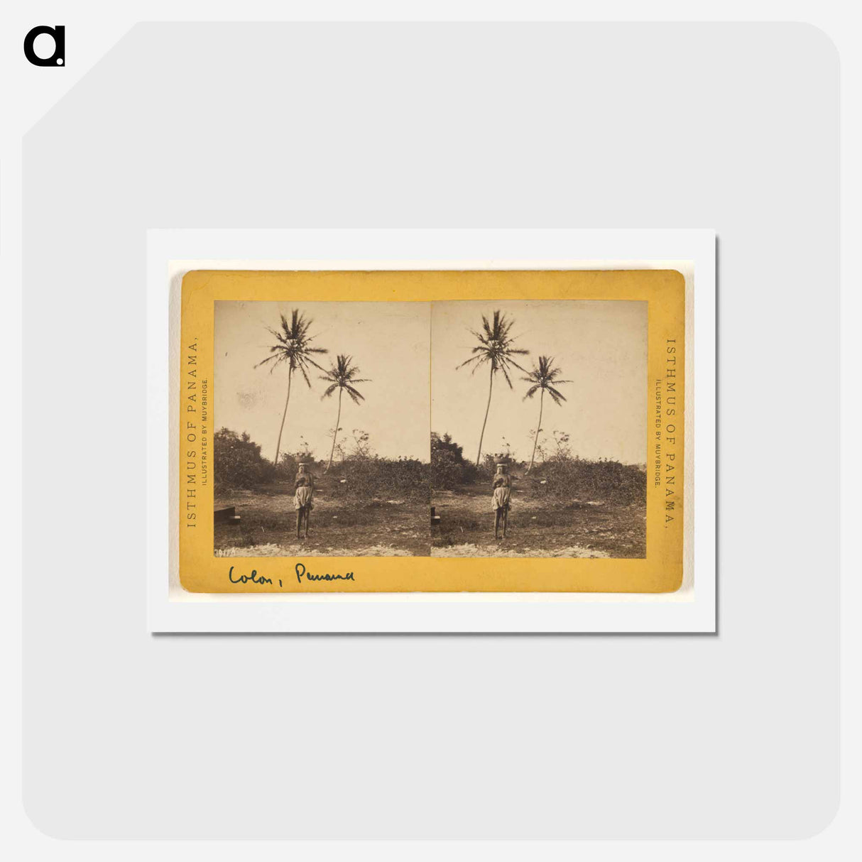 アートポストカード-Road along the Beach
- エドワード マイブリッジ Postcard.