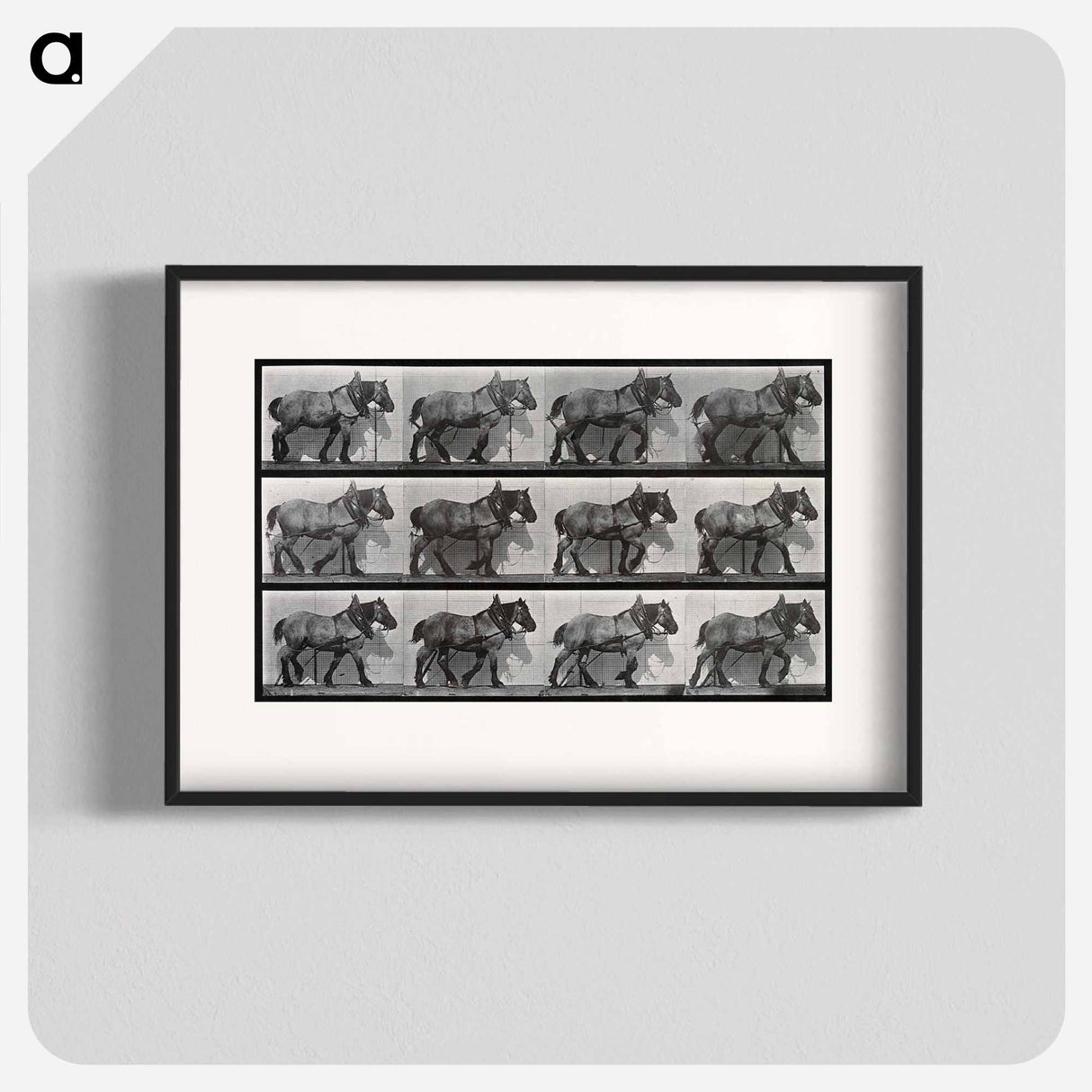 アートポスター-Cart-Horse Walking
- エドワード マイブリッジ Poster.