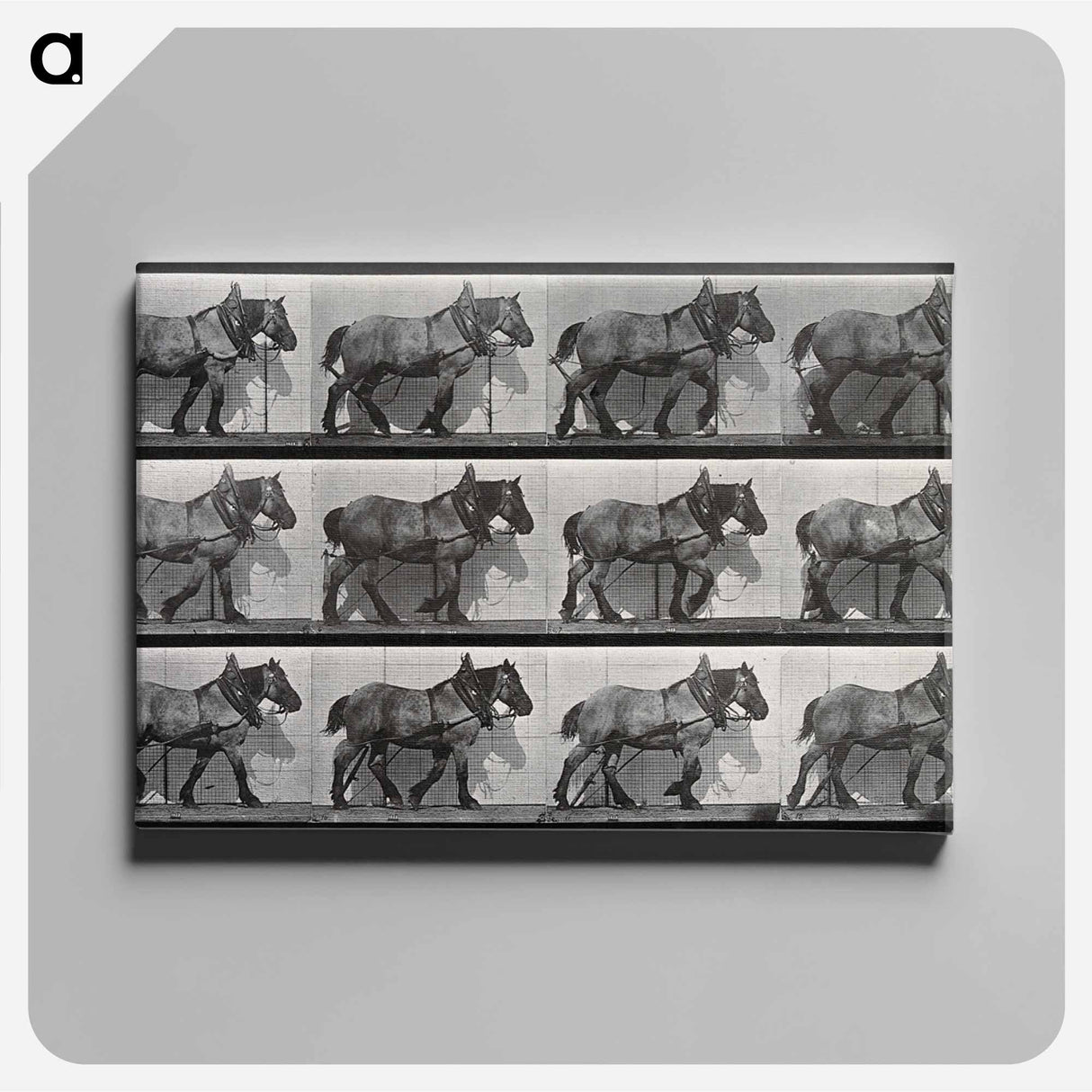 アートパネル-Cart-Horse Walking
- エドワード マイブリッジ Canvas.