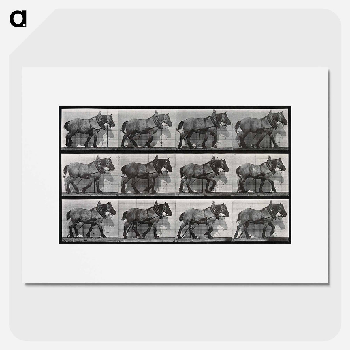 アートポスター-Cart-Horse Walking
- エドワード マイブリッジ Poster.