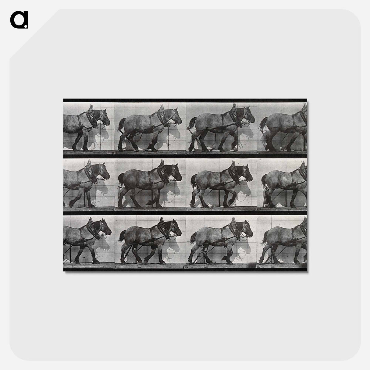 アートポストカード-Cart-Horse Walking
- エドワード マイブリッジ Postcard.