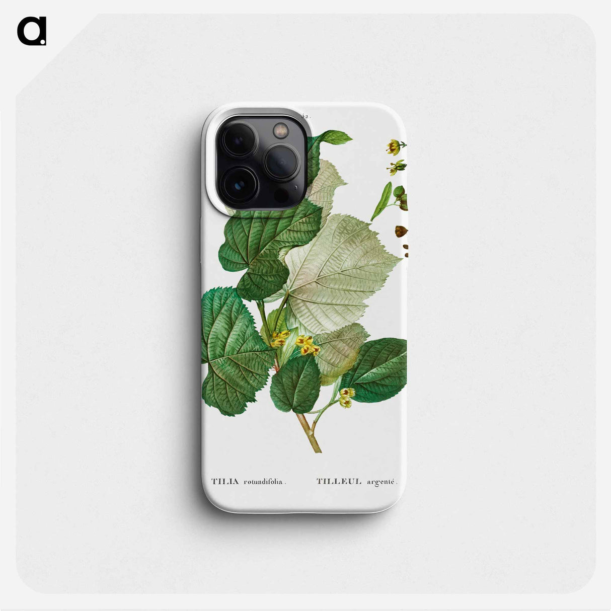 Tilia rotundifolia - ピエール ジョゼフ ルドゥーテ Phone Case.