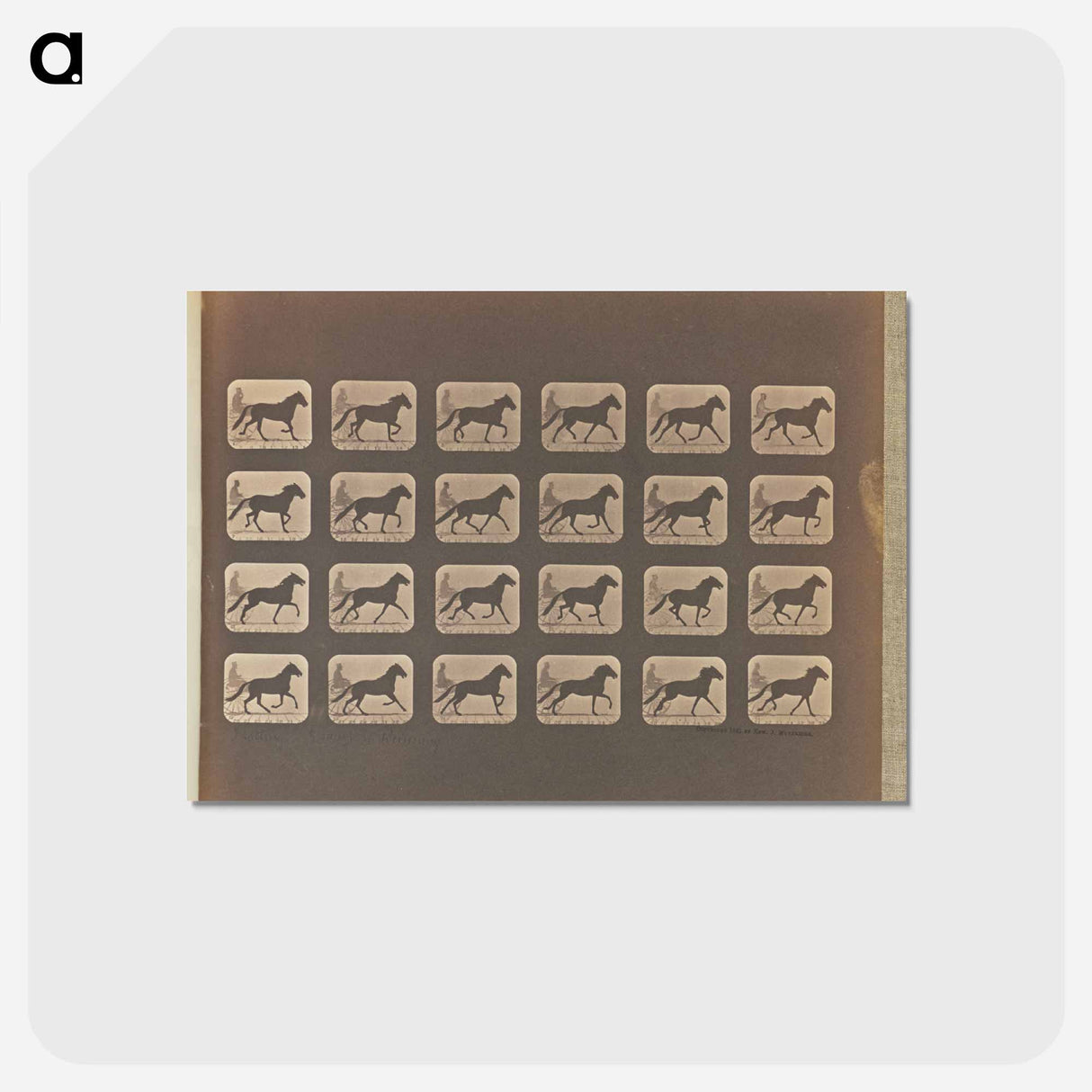アートポストカード-Trotting - Change to Running
- エドワード マイブリッジ Postcard.