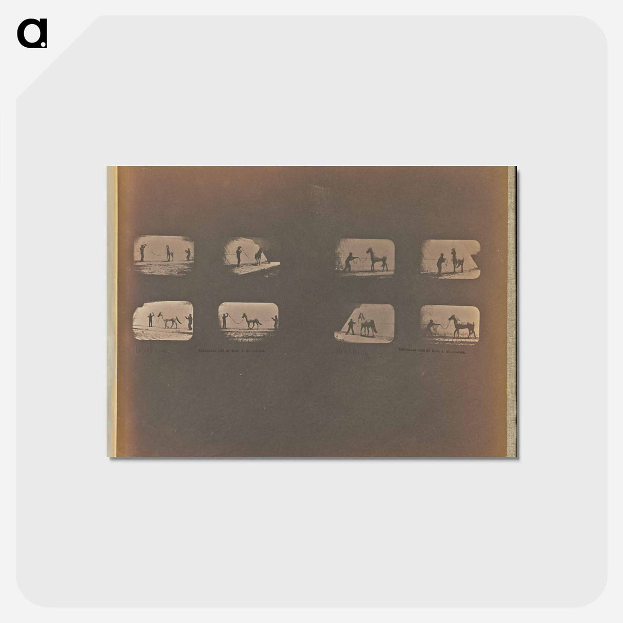 アートポストカード-Walking
- エドワード マイブリッジ Postcard.