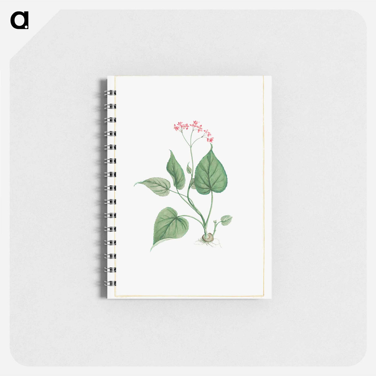 アートメモ帳-Begonia Erminea - ピエール ジョゼフ ルドゥーテ Memo.