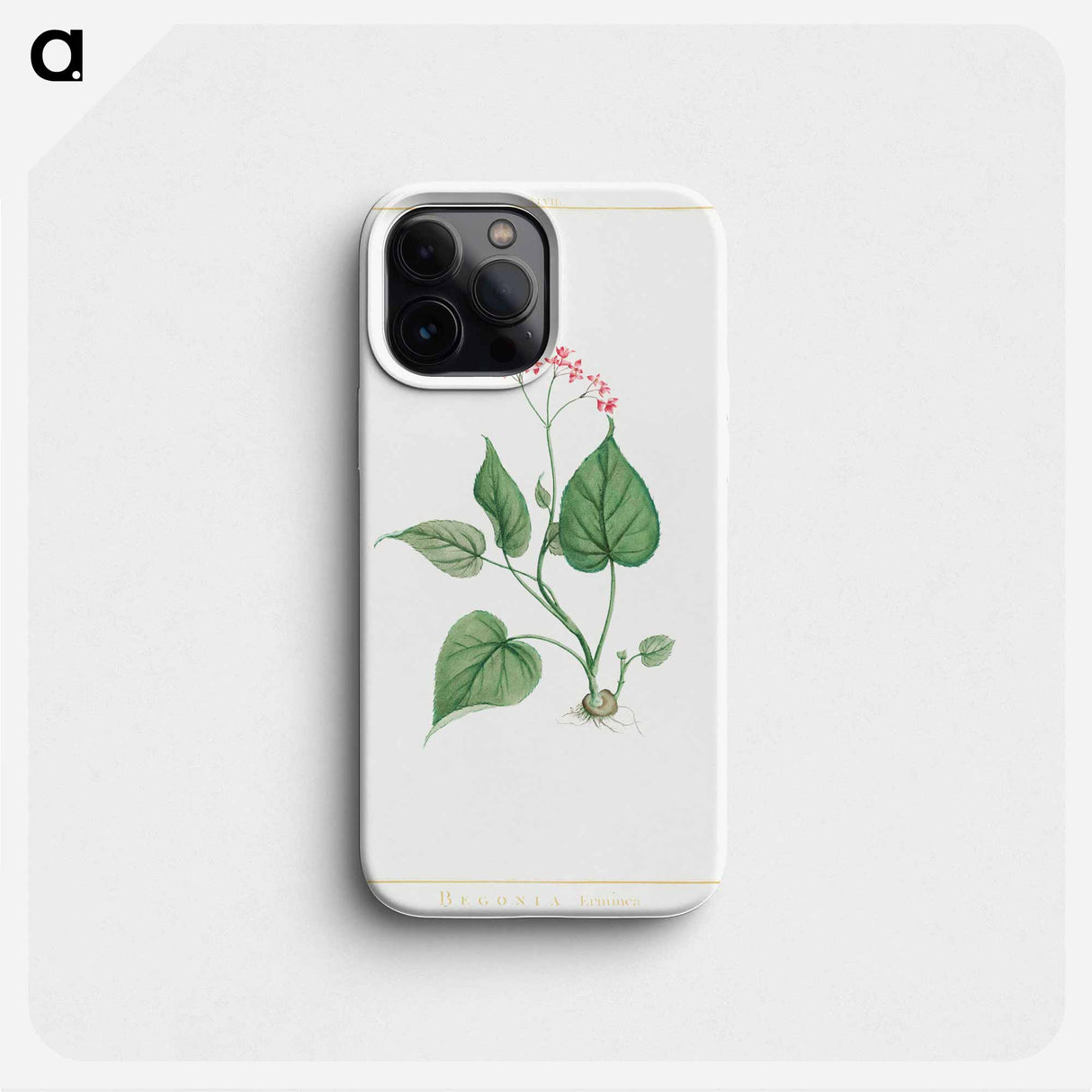 Begonia Erminea - ピエール ジョゼフ ルドゥーテ Phone Case.