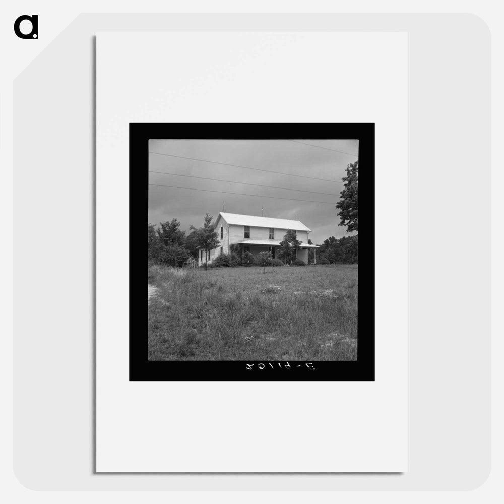 Tobacco Farm - Dorothea Lange Poster.