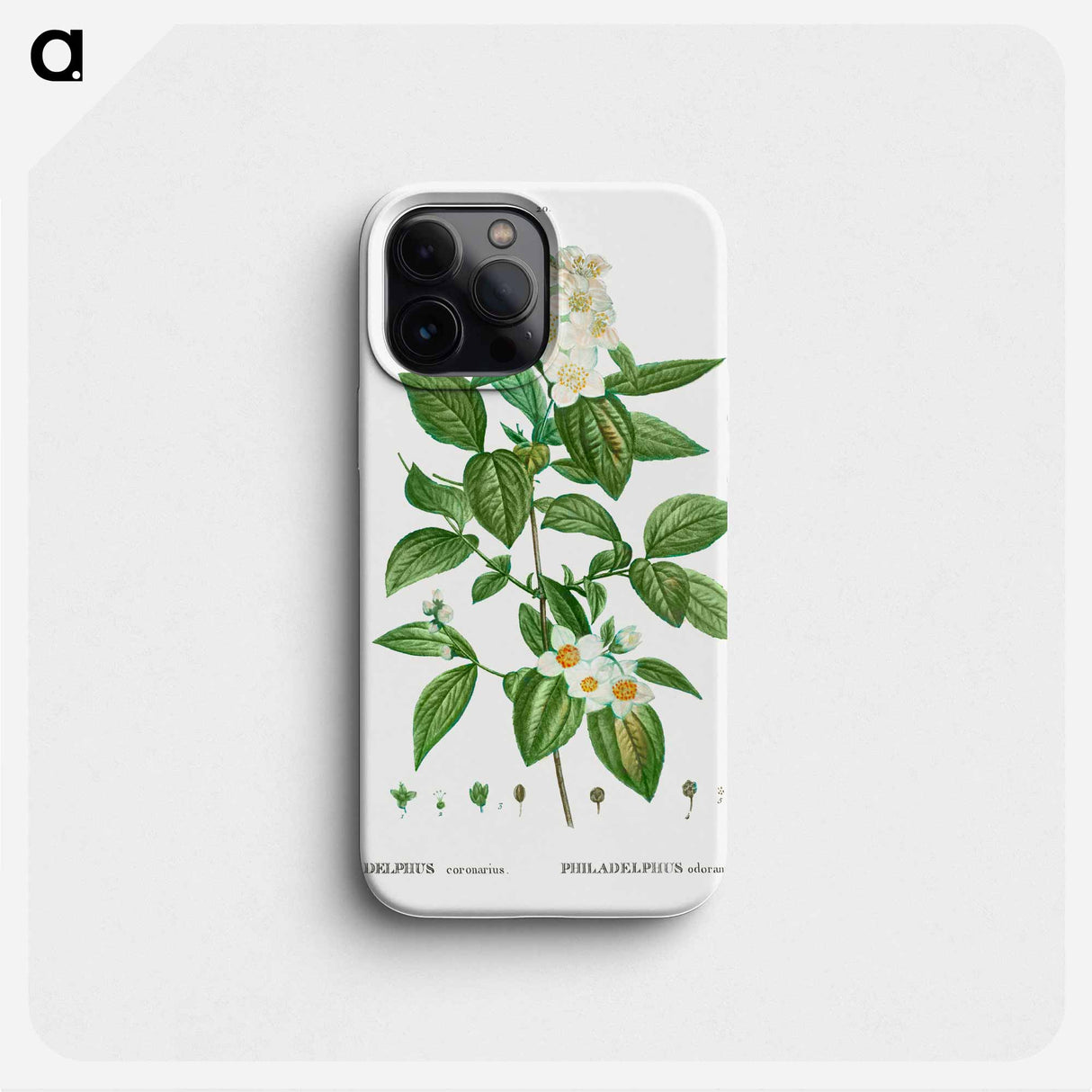 Philadelphus coronarius - Pierre Joseph Redouté Phone Case.