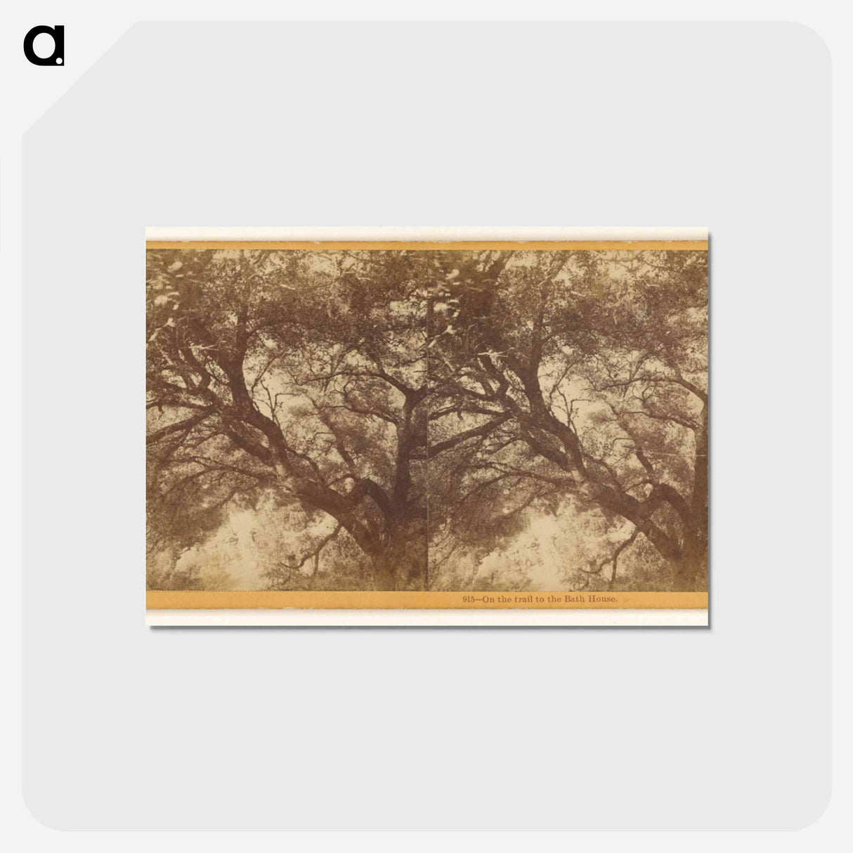 アートポストカード-On the trail to the Bath House
- エドワード マイブリッジ Postcard.