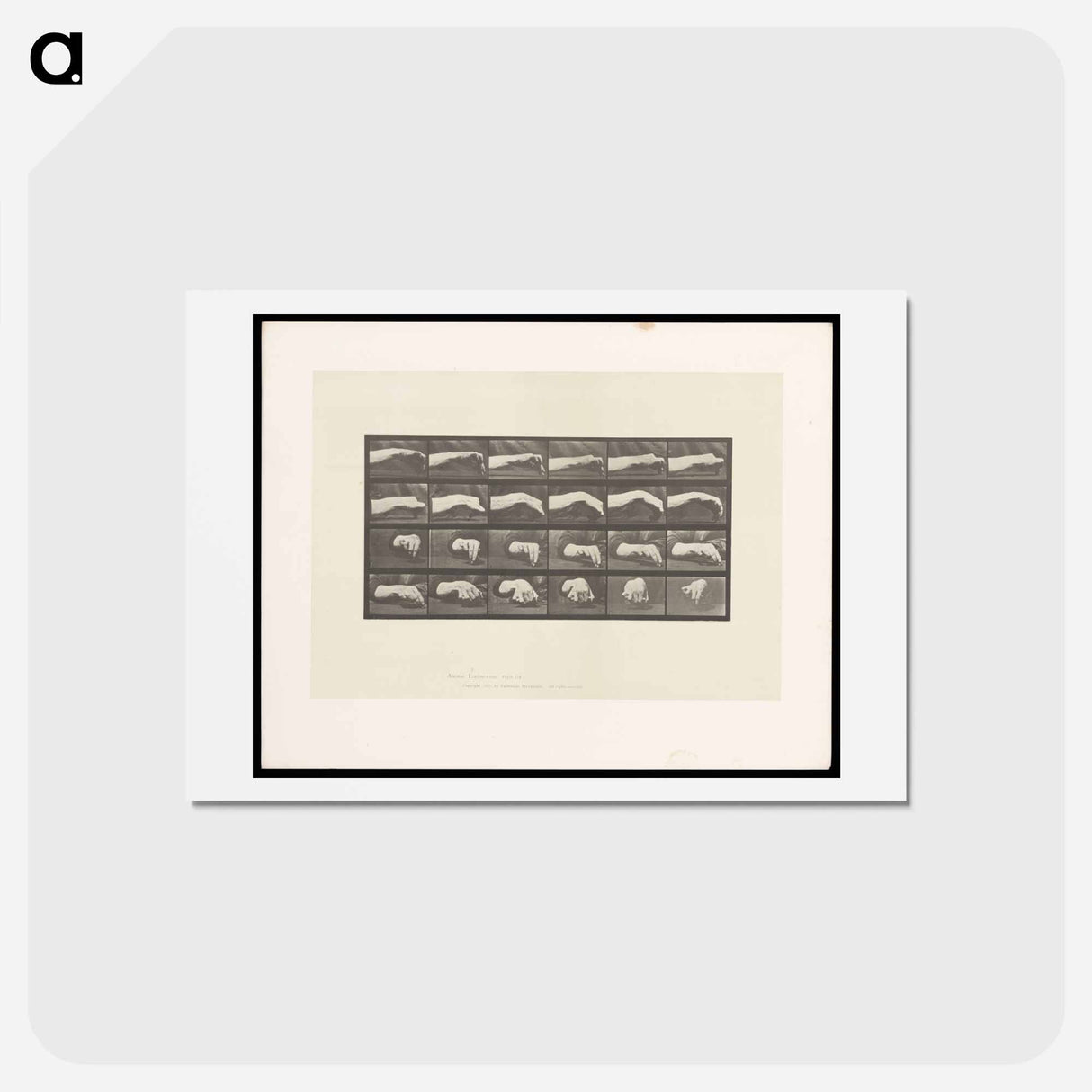 アートポストカード-Hand Drawing a Circle
- エドワード マイブリッジ Postcard.