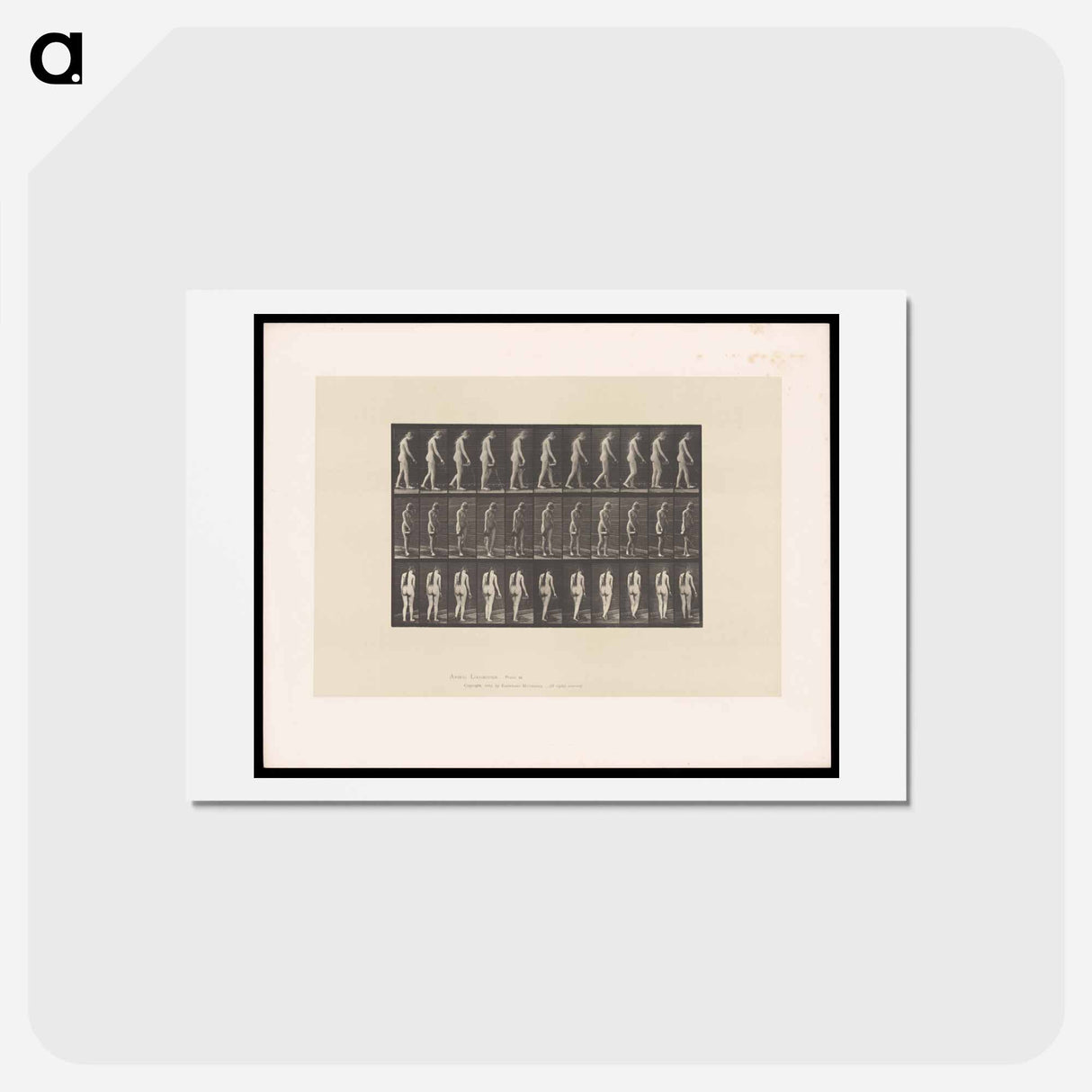 アートポストカード-Naked Woman Walking
- エドワード マイブリッジ Postcard.