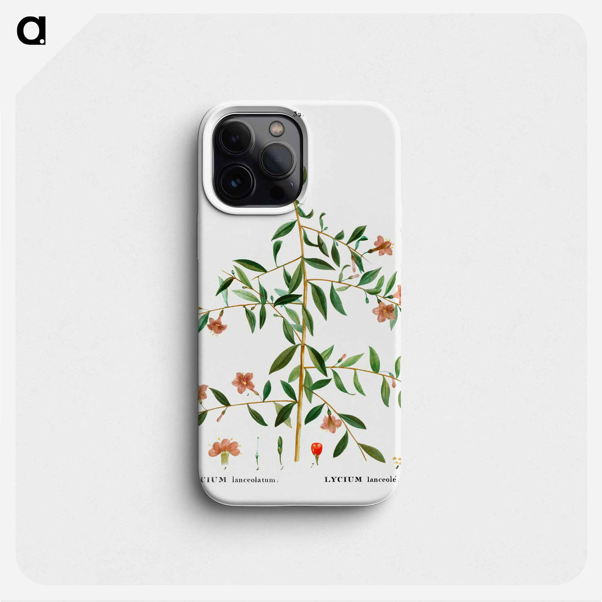 Lycium lanceolatum - Pierre Joseph Redouté Phone Case.