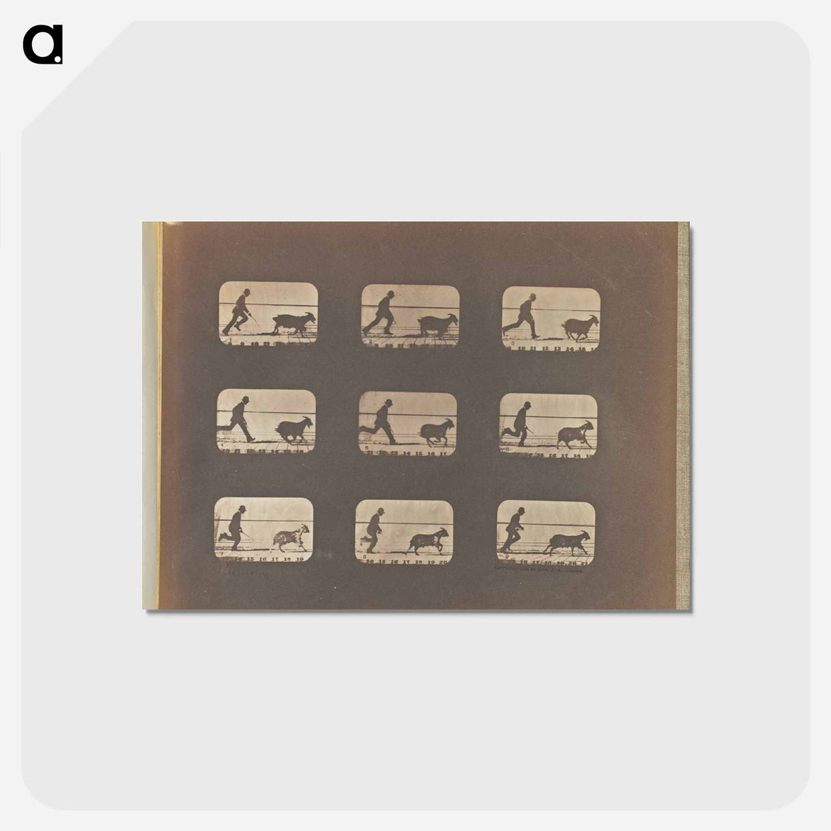 アートポストカード-Running
- エドワード マイブリッジ Postcard.