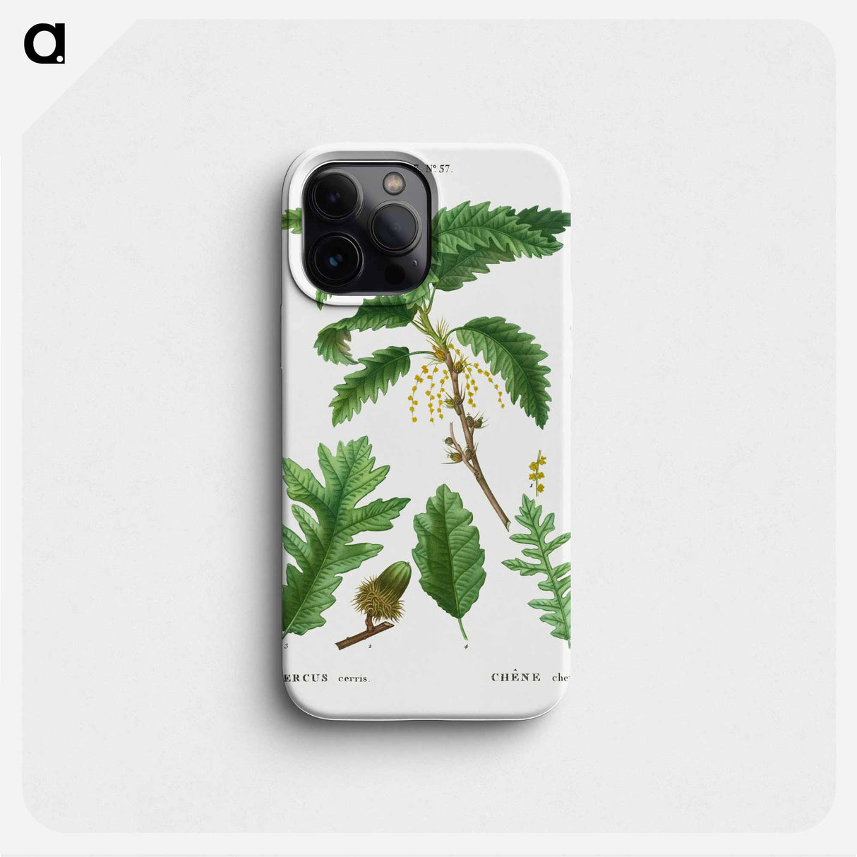 Turkey oak, Quercus cerris - Pierre Joseph Redouté Phone Case.